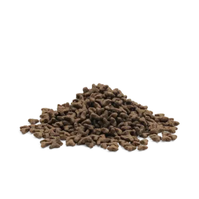 LITTLE LION 3 kg - Pour chaton ou chat sevré jusqu'à 12 mois