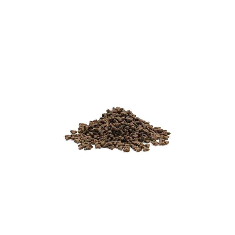 LITTLE LION 3 kg - Pour chaton ou chat sevré jusqu'à 12 mois