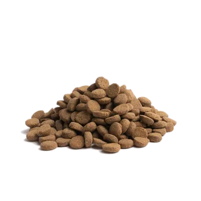 Older – Recette Ultra-Premium British Heritage chiens seniors