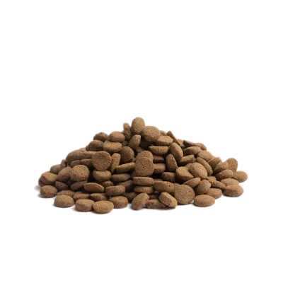 Contour – Recette Ultra-Premium British Heritage pour chiens toniques