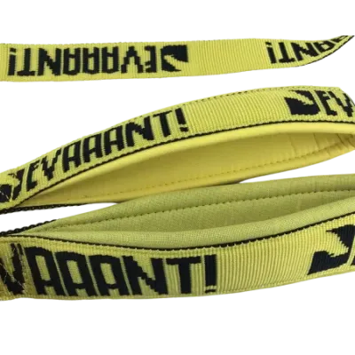 Handler Leash Proteam Devaaant