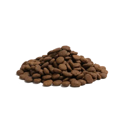 THE BEGINNING LARGE BREED 10Kg