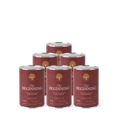 Pâtée BEGINNING LIVING 400gr