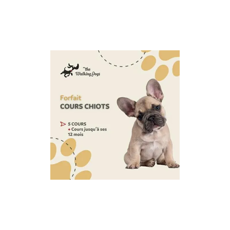 Forfait d'Éducation Canine pour Chiots avec 5 Cours, accès 1 an à 420€