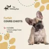 Forfait d'Éducation Canine pour Chiots avec 5 Cours, accès 1 an à 420€