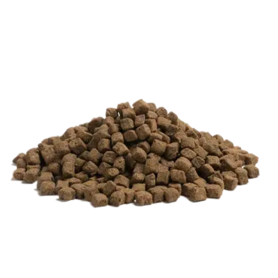 Lot de 4x2.5kg Older – Recette Ultra-Premium British Heritage chiens seniors