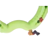 Jouet pour chien anneau Green Apple en TPR 21cm