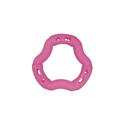 Jouet pour chien TPR anneau Red Frutti 21cm