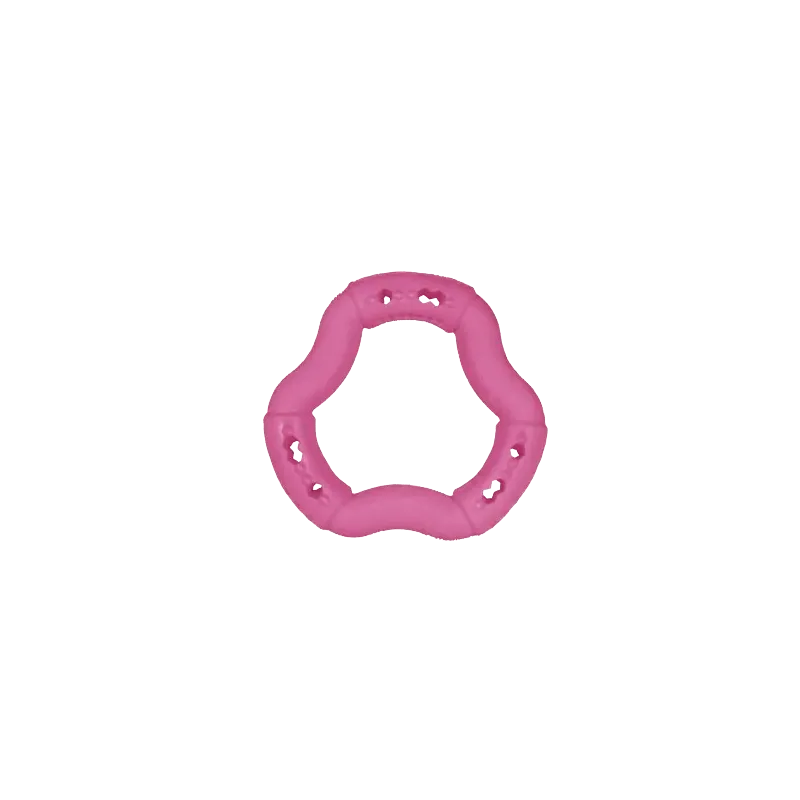 Jouet pour chien TPR anneau Red Frutti 21cm