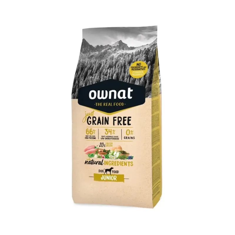 OWNAT GF JUST JUNIOR - Chiot OWNAT GF JUST JUNIOR - Chiot