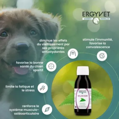 Ergyvet Silicium 100 ml