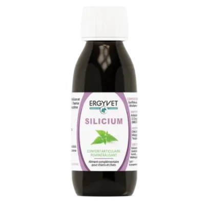 Ergyvet Silicium 100 ml