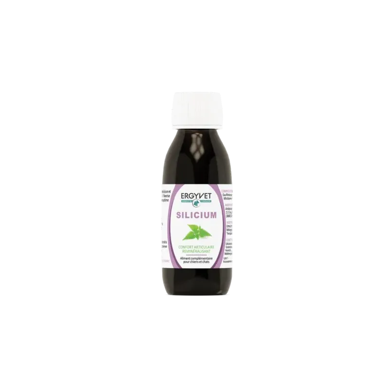 Ergyvet Silicium 100 ml