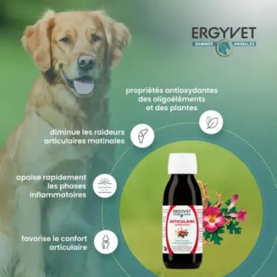 Ergyvet Articulaire 100ml