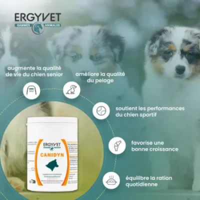 Ergyvet Canidyn 110g