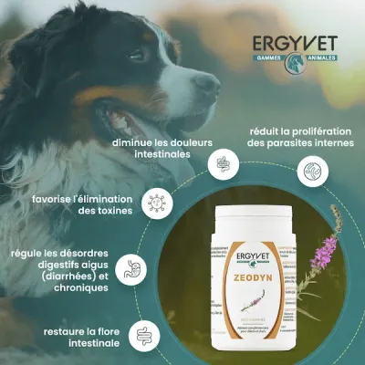 Ergyvet Zeodyn 70g