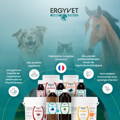Ergyvet Zeodyn 70g