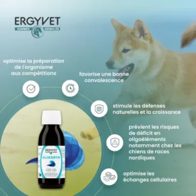 ERGYVET Oligodyn 100 ml