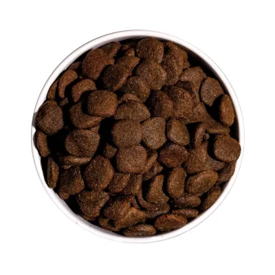 OWNAT GRAIN FREE HYPO LAMB chien