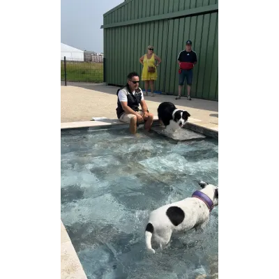 Réserver votre séance de piscine pour chien au The Walking Dogs Center