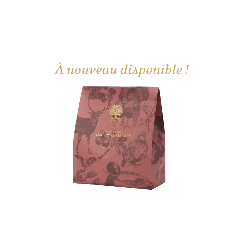 Coffret de Noël ESSENTIAL FOODS: friandises pour chien