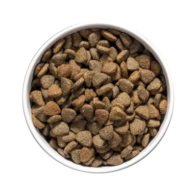 Ownat Care Mobility Chien