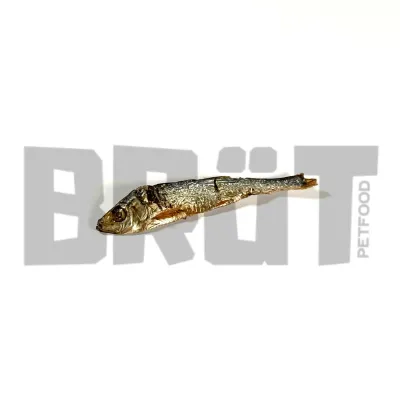 Sprats BRÜT : friandises délicieuses 100% poisson pour chiens