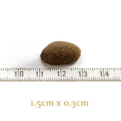 Croquette sans céréales pour chien  CROQUETTES HIGHLAND LIVING 10 KG ESSENTIAL FOODS