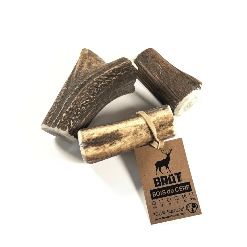 Bois de cerf entier pour chien- 100% naturel - Brüt Petfoods