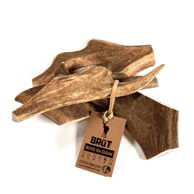 Bois de daim pour chien – Friandise naturelle à mâcher Bois de daim pour chien – Friandise naturelle à mâcher