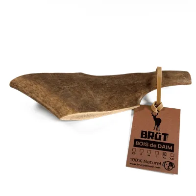 Bois de daim pour chien – Friandise naturelle à mâcher