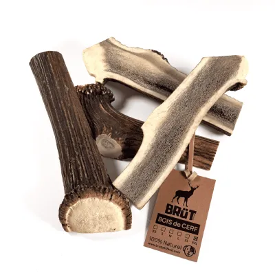 Bois de cerf fendu pour chien – 100 % naturel
