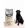 GRAIN FREE JUST LIGHT - chien