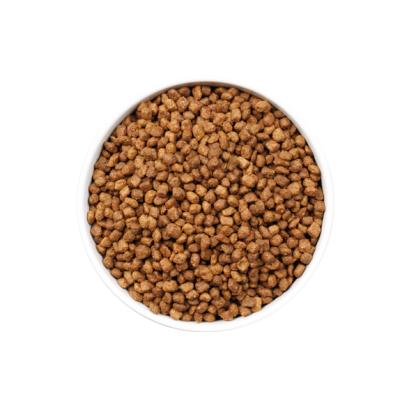 OWNAT ULTRA KITTEN CAT