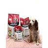 OWNAT CLASSIC COMPLET - chien OWNAT CLASSIC COMPLET - chien