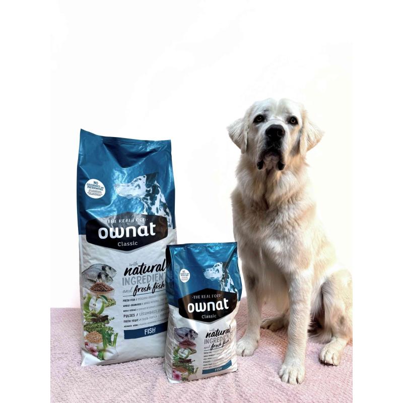 OWNAT CLASSIC FISH - chien