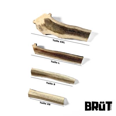 Bois de cerf fendu pour chien – 100 % naturel