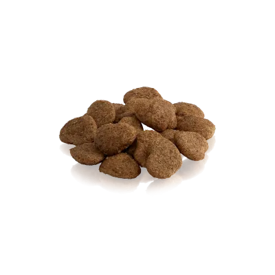 THE SILENT SHADOW – Friandises croustillantes pour chats | ESSENTIAL FOODS