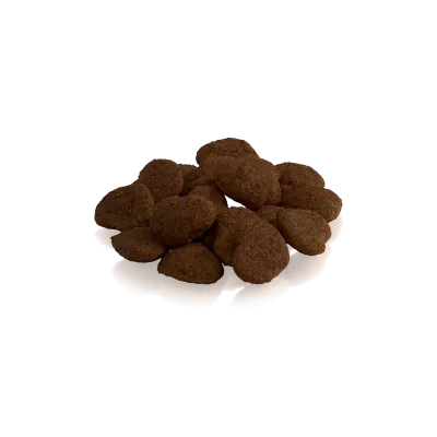 THE GENTLE GIANT – Friandises naturelles au saumon pour chats | ESSENTIAL FOODS