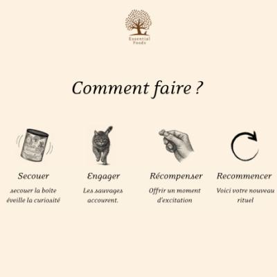 THE SILENT SHADOW – Friandises croustillantes pour chats | ESSENTIAL FOODS