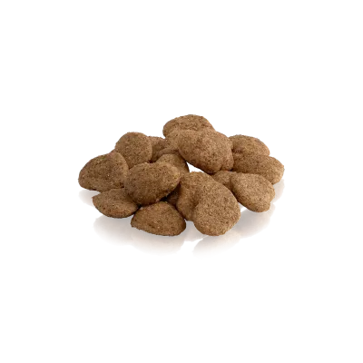 THE GOLDEN GHOST – Friandises croustillantes à la dinde pour chats | ESSENTIAL FOODS