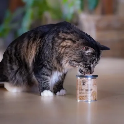 THE GOLDEN GHOST – Friandises croustillantes à la dinde pour chats | ESSENTIAL FOODS