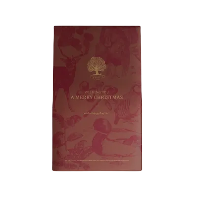 Coffret de Noël ESSENTIAL FOODS: friandises pour chien