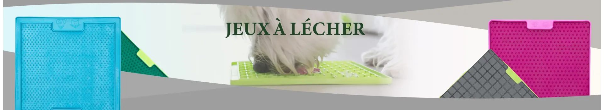 Jeux à lécher pour votre chien