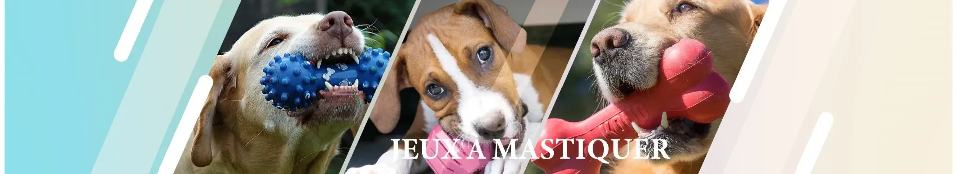 Jeux à mastiquer pour chien